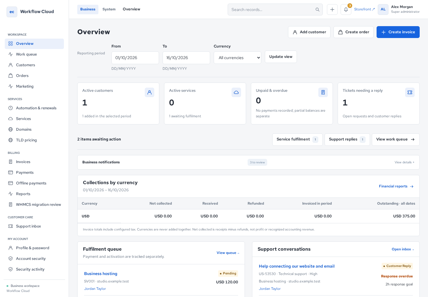 EmailaBiller business overview — actual product interface with synthetic example hosting, billing and support records.